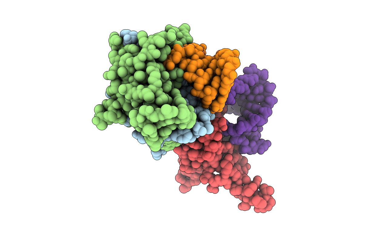 2BU1 image