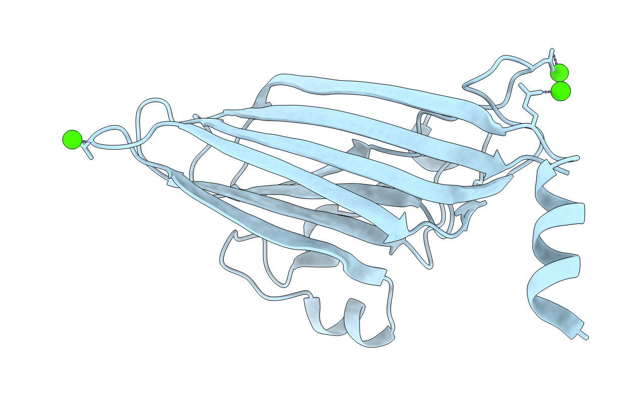 2BUK image