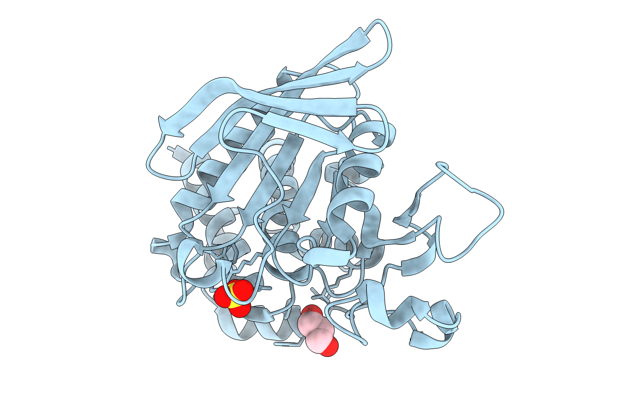 2BV5 image