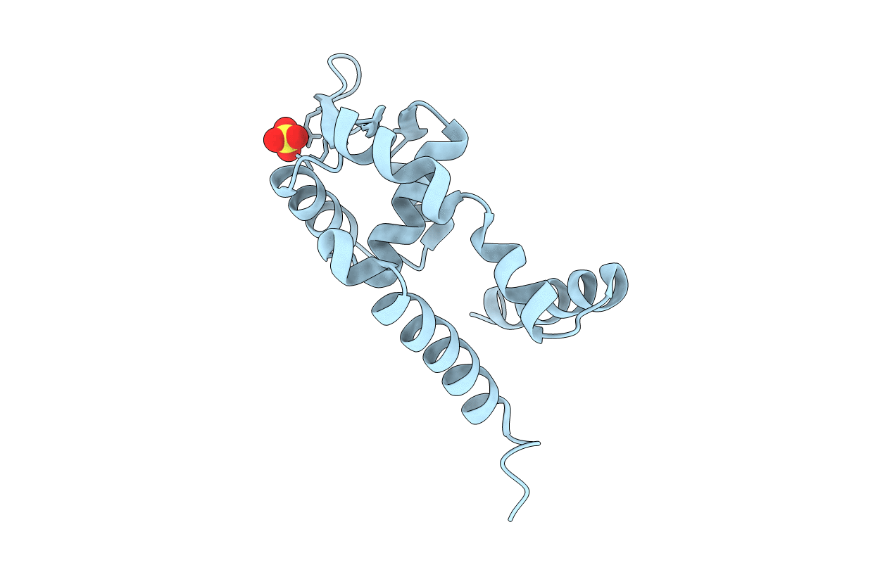 2BV6 image