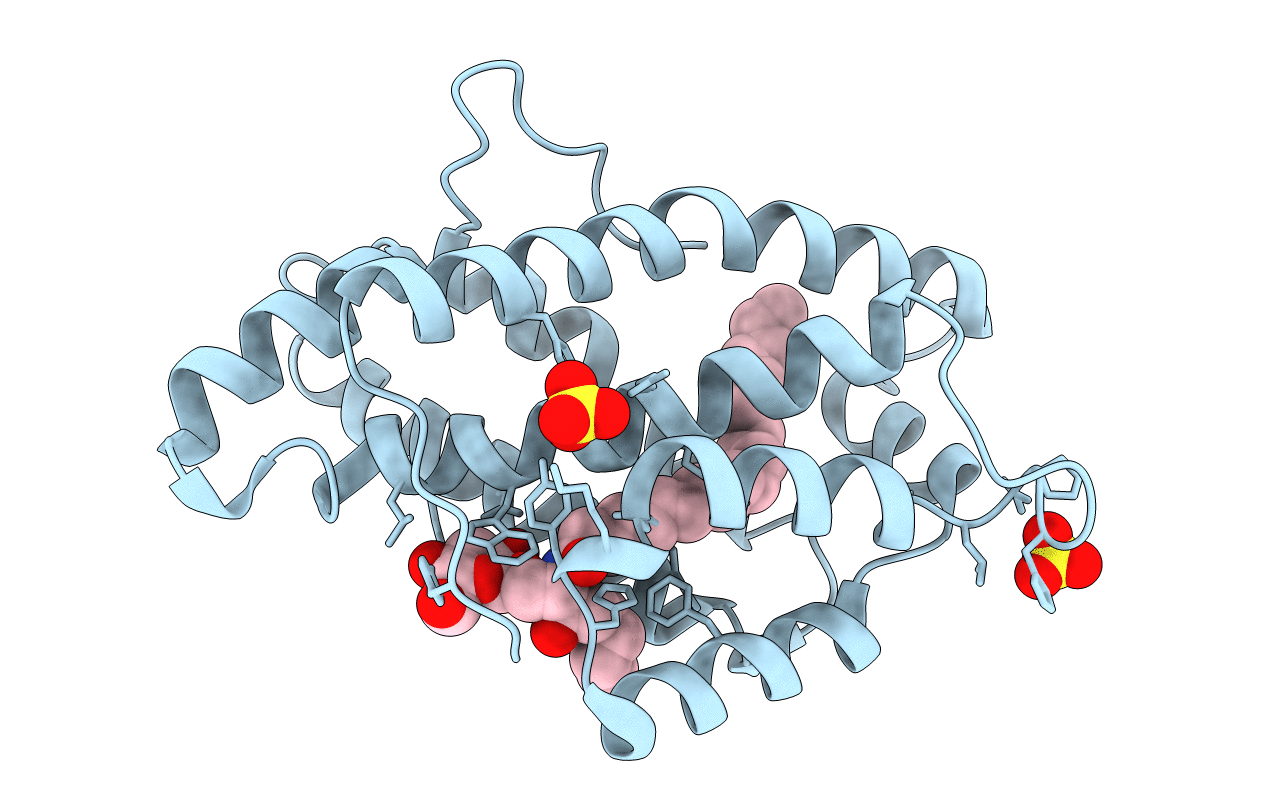 2BV7 image