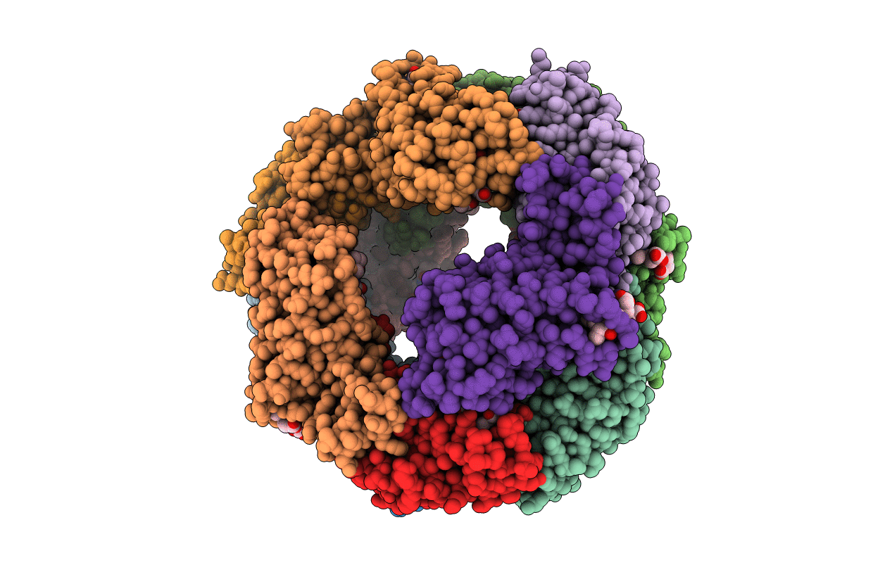 2BV8 image