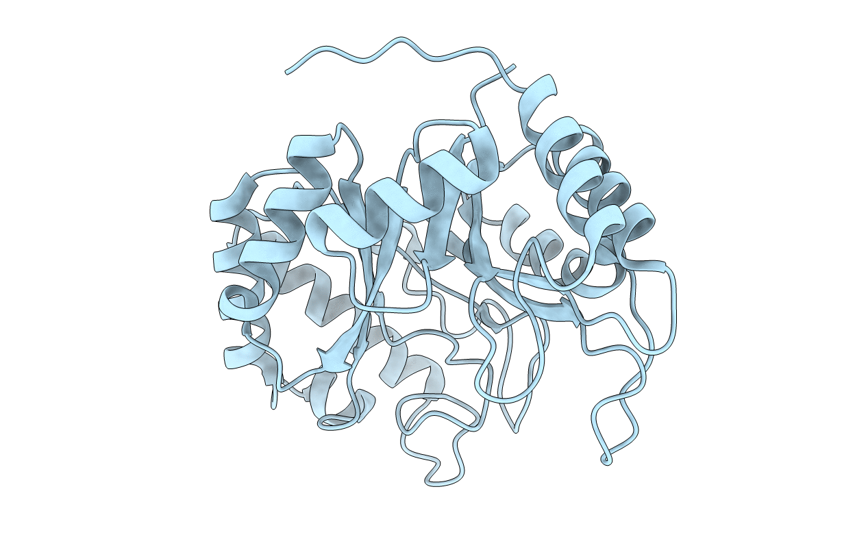 2BV9 image
