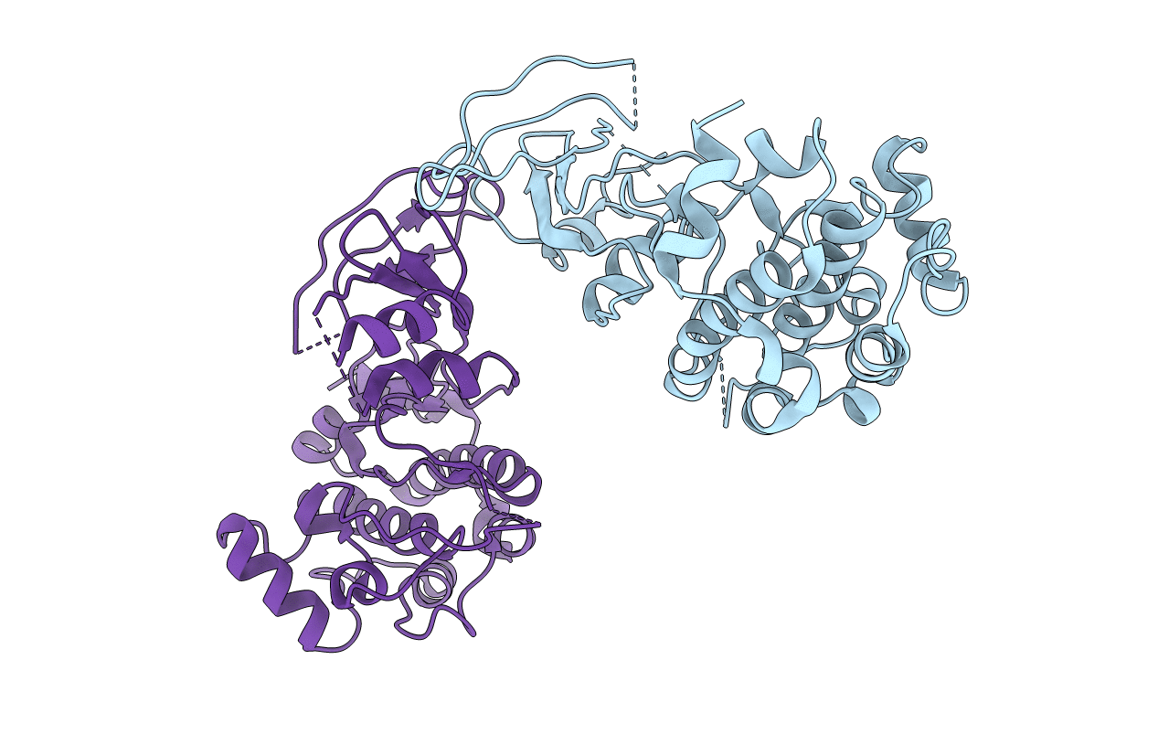2BVA image
