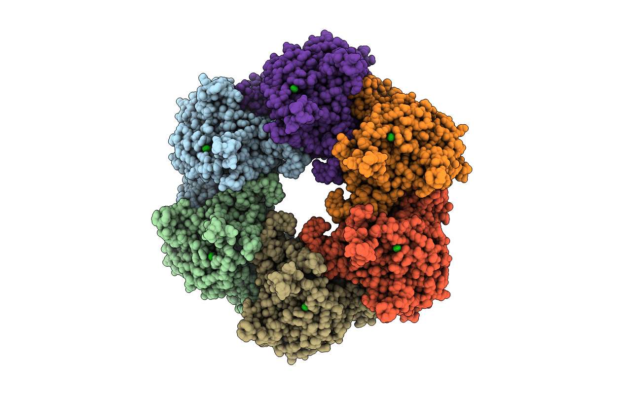 2BVC image