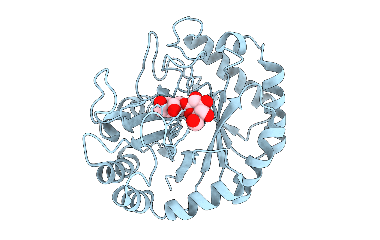 2BVD image