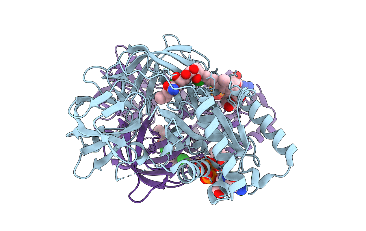 2BVN image