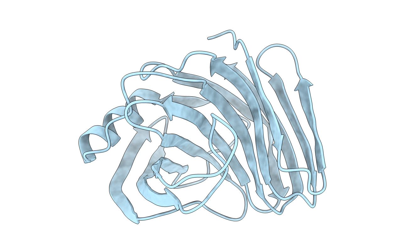 2BVV image