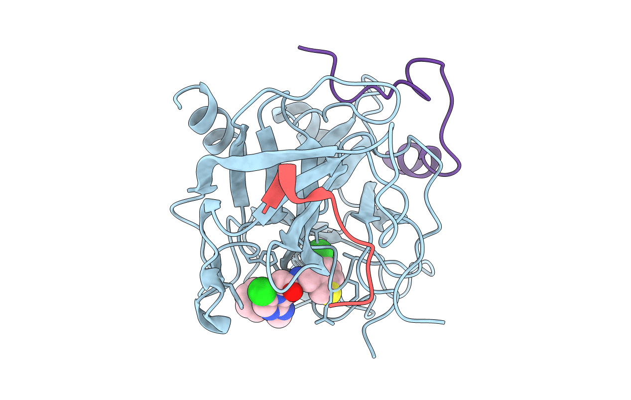 2BVX image