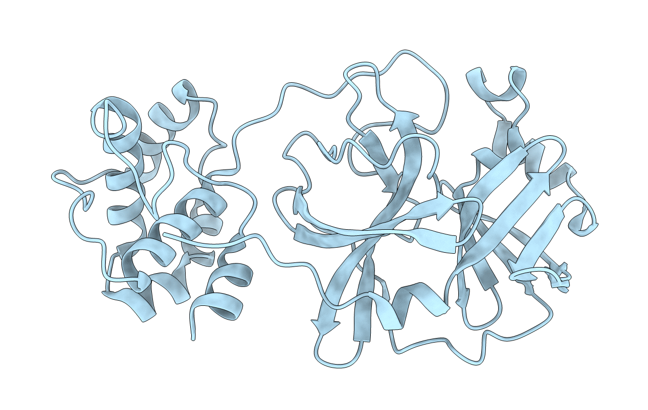2BX3 image