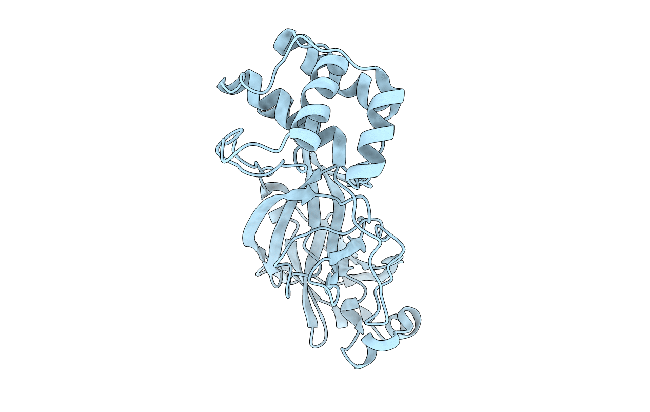 2BX4 image