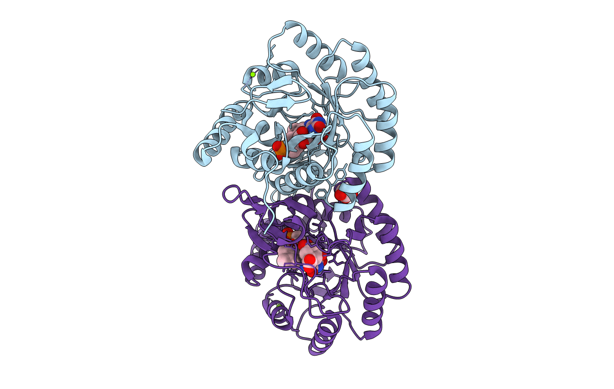 2BX7 image