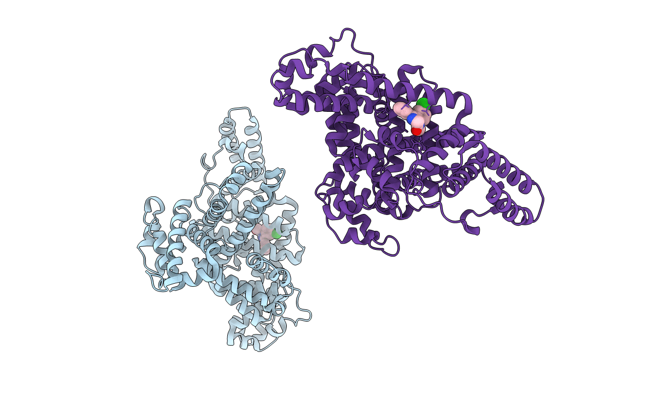 2BXF image