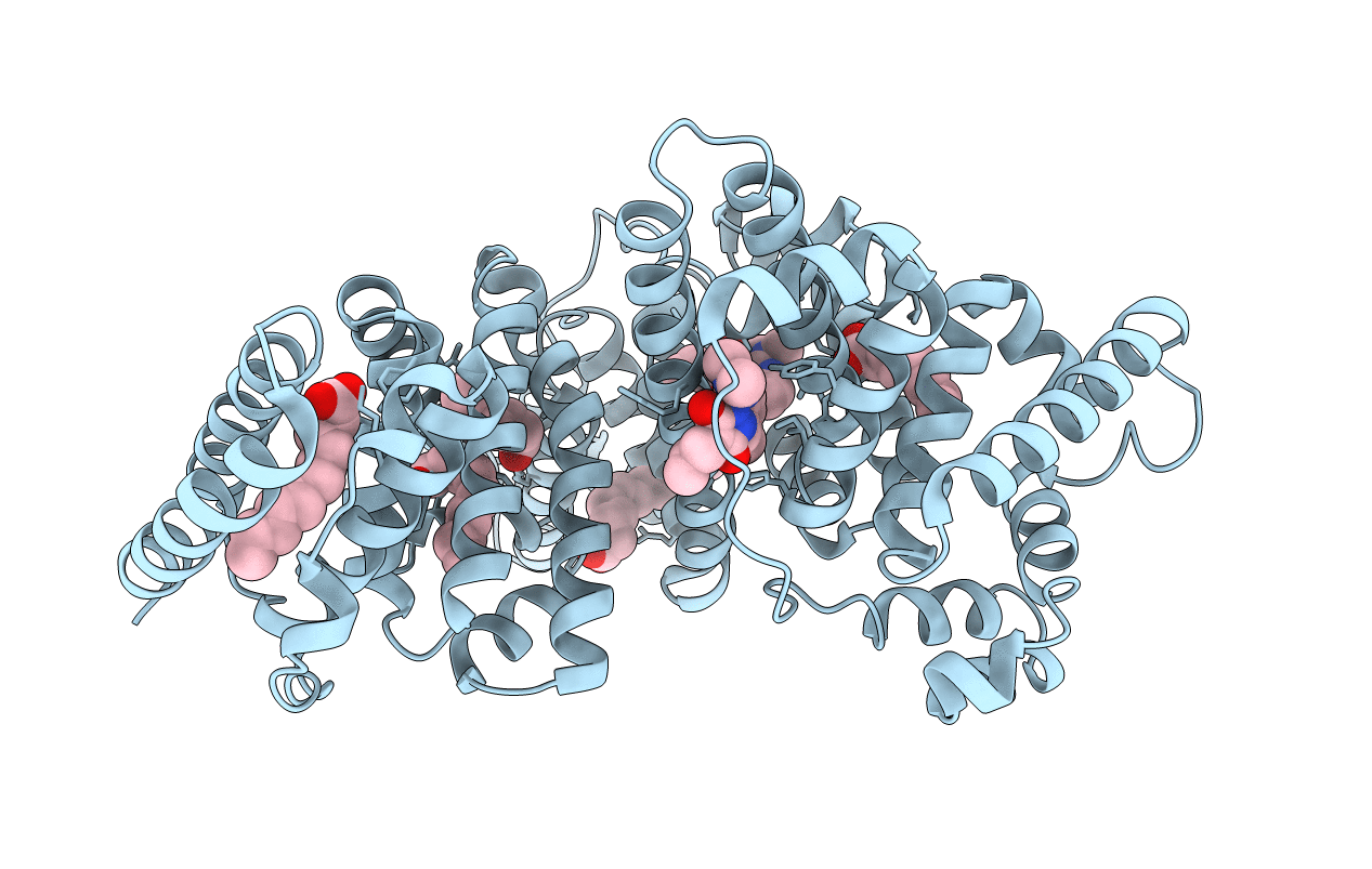 2BXI image