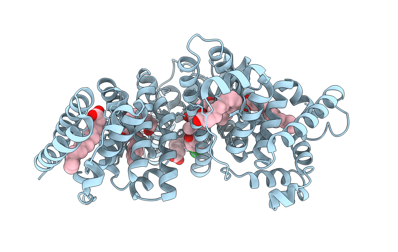 2BXK image