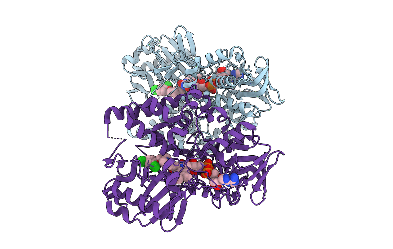 2BXR image