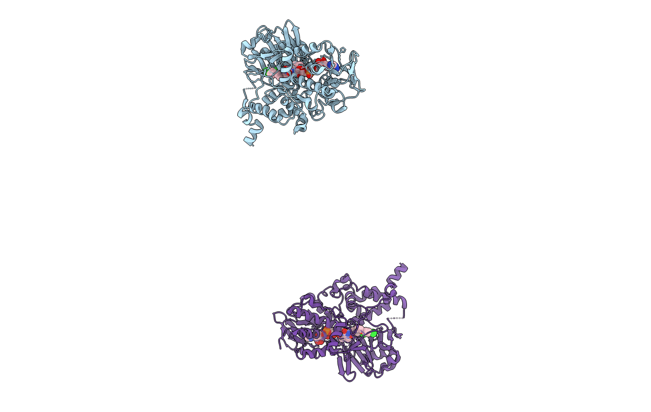 2BXS image