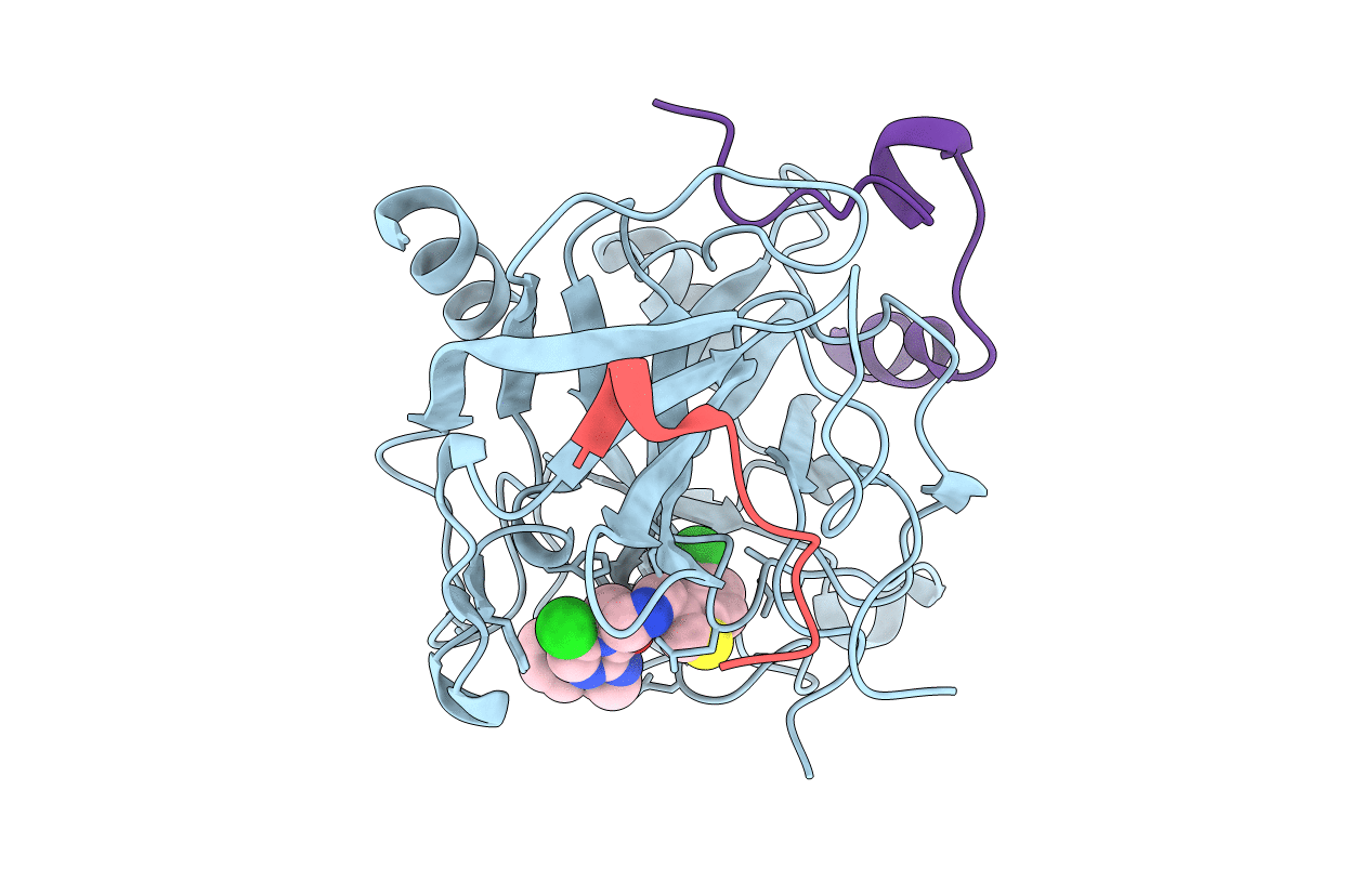 2BXT image