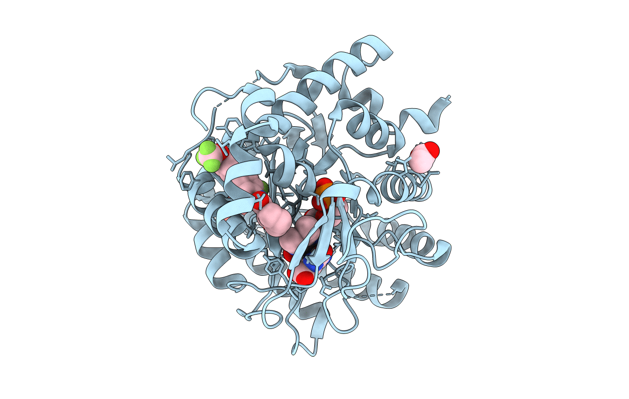 2BXV image