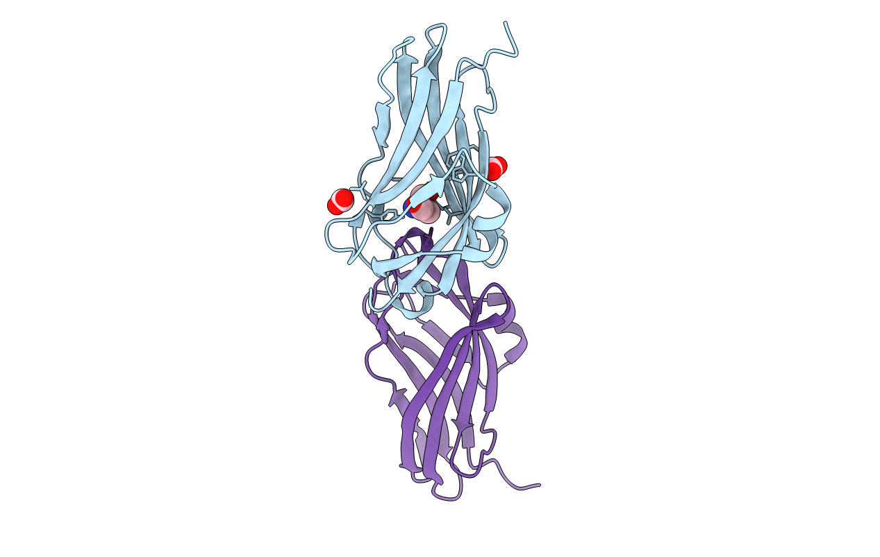 2BXW image