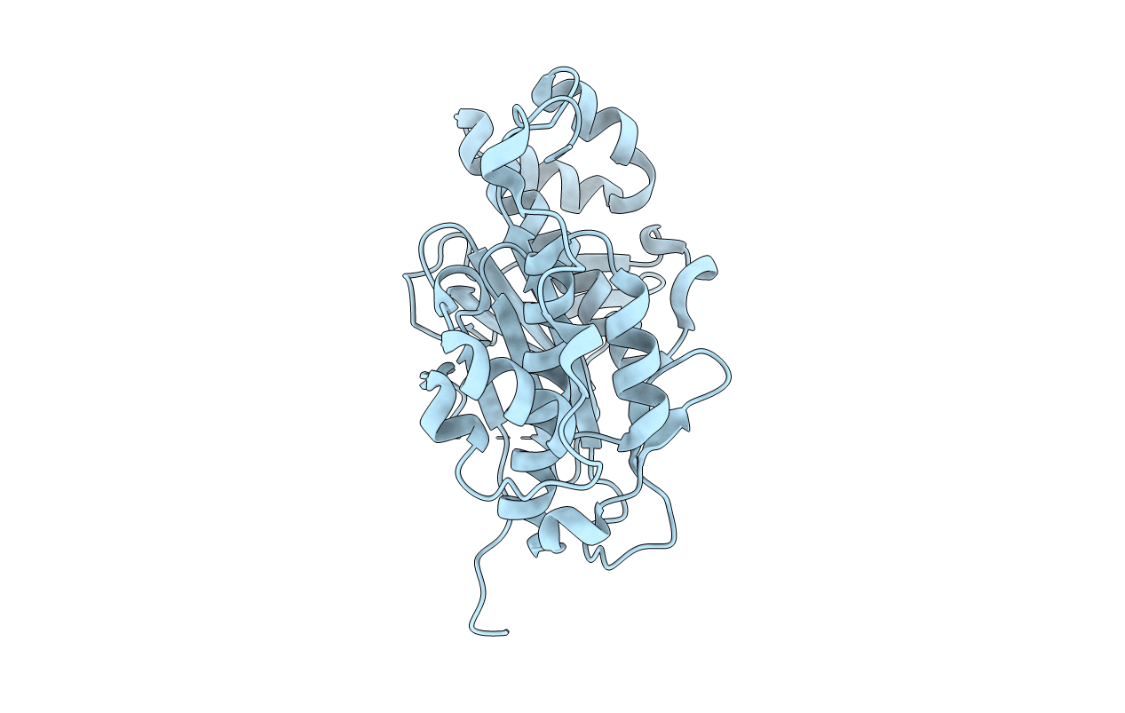 2BYD image