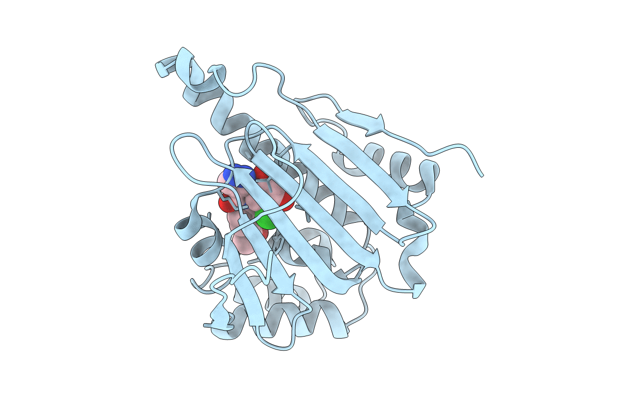 2BYH image