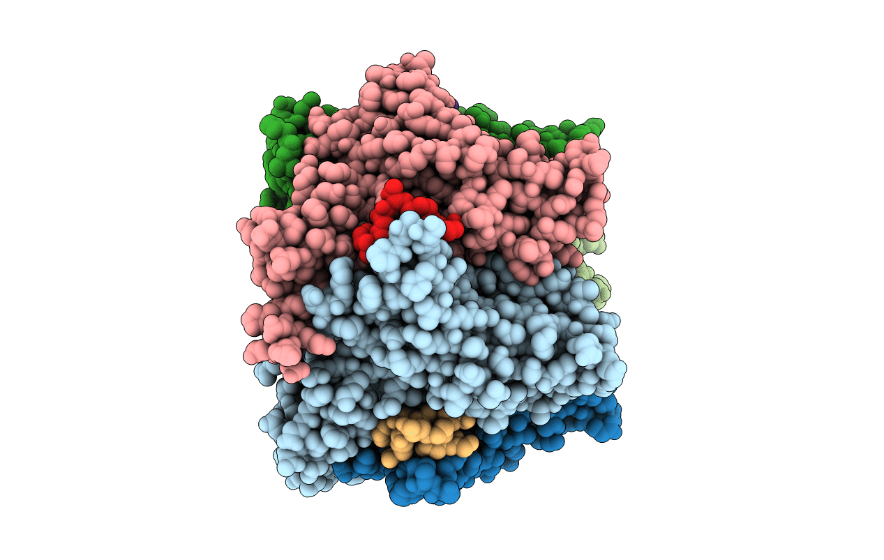 2BYP image