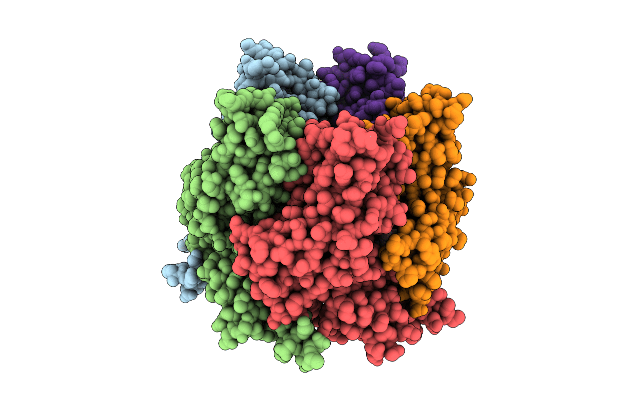 2BYQ image