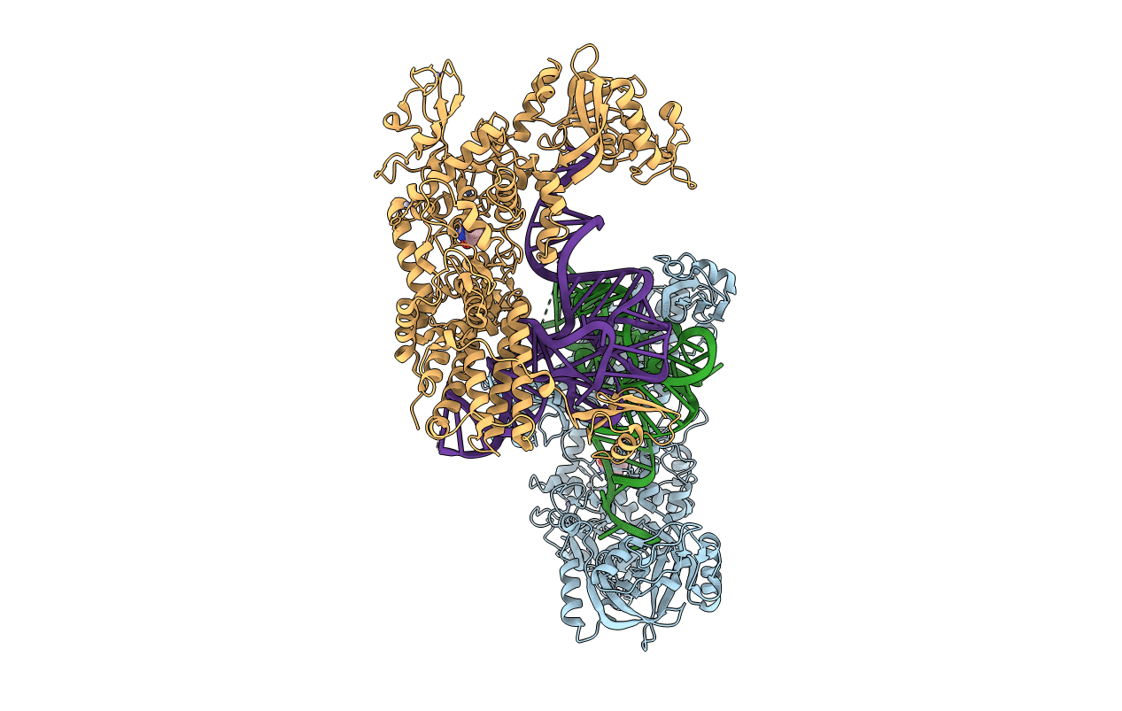 2BYT image