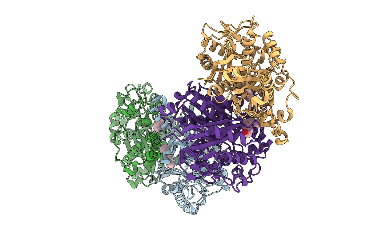 2BYX image