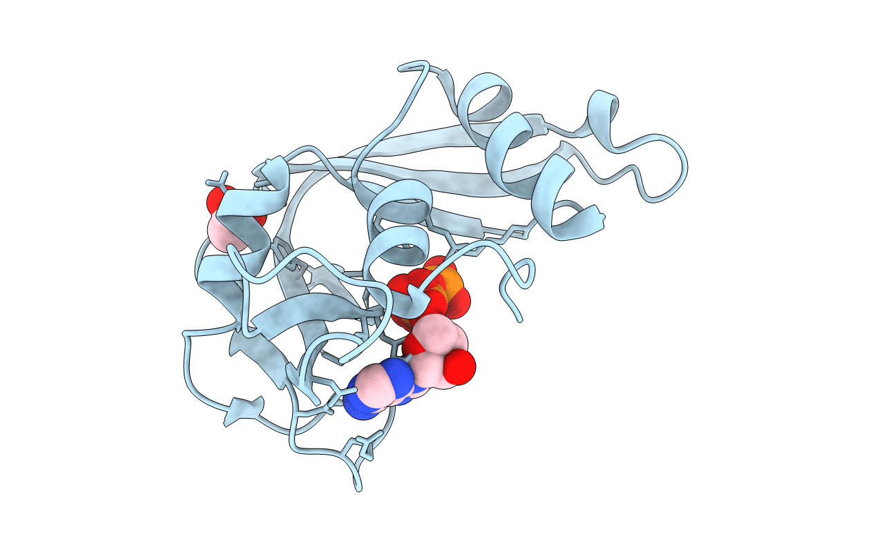 2C01 image