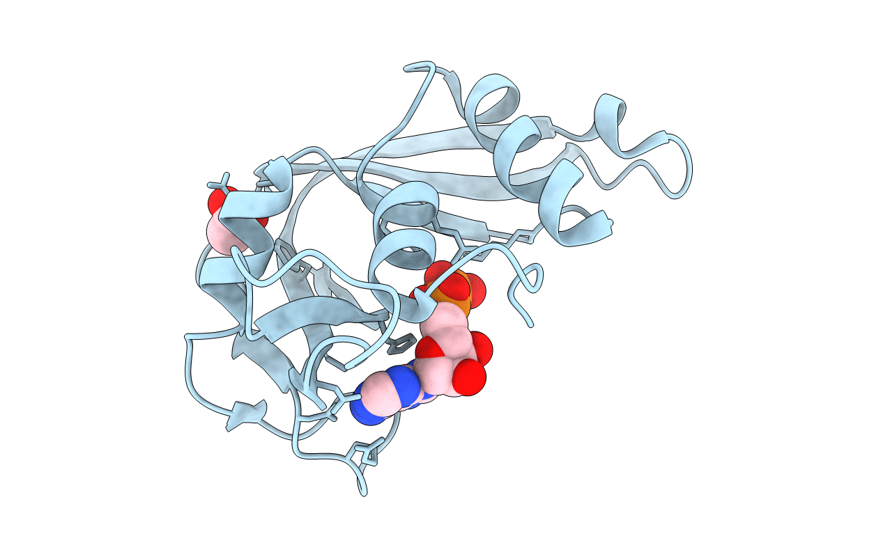 2C02 image
