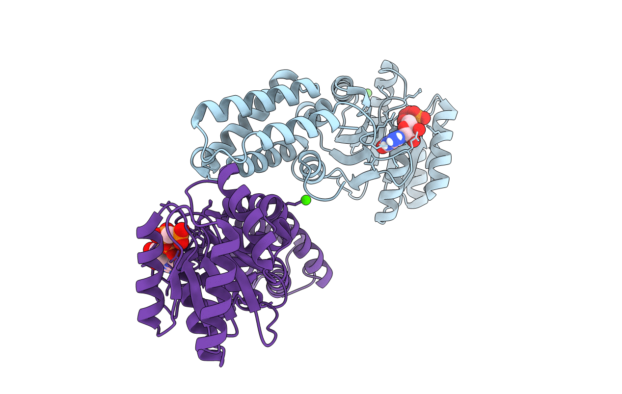 2C04 image
