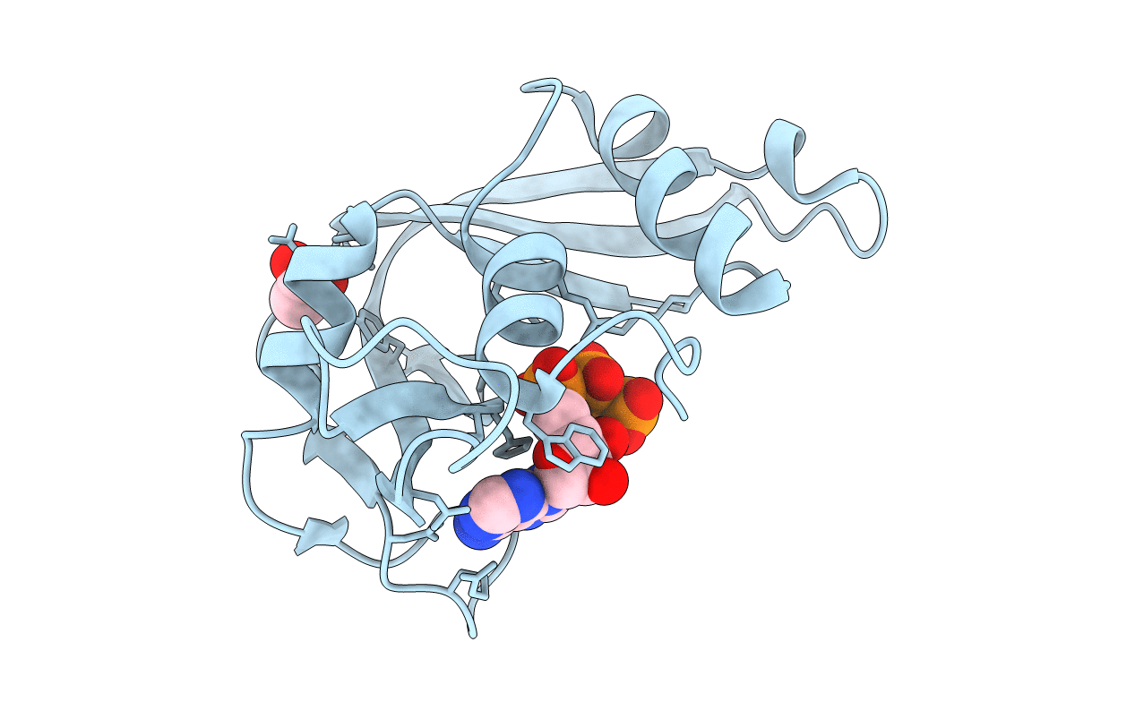 2C05 image