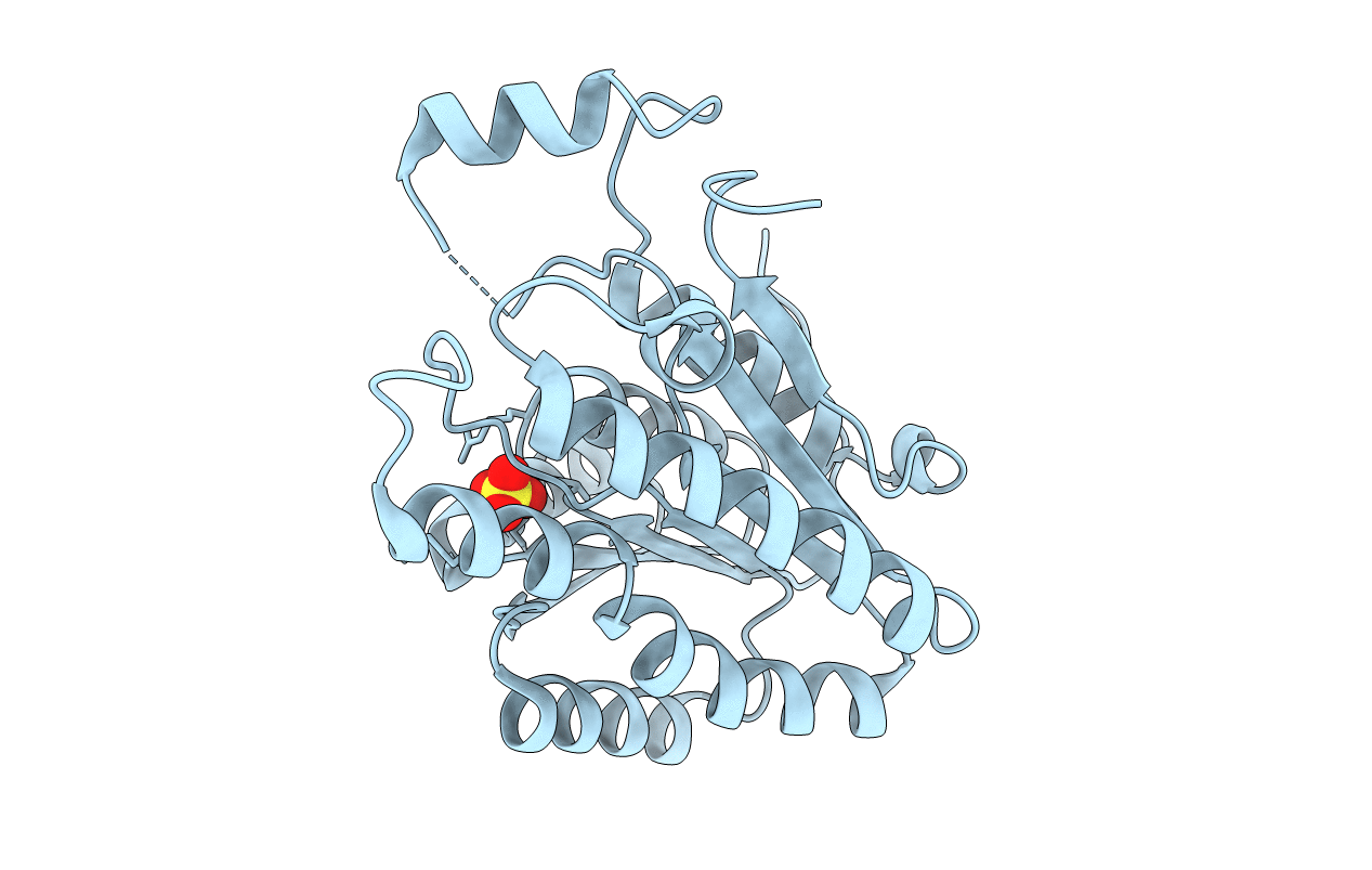 2C07 image