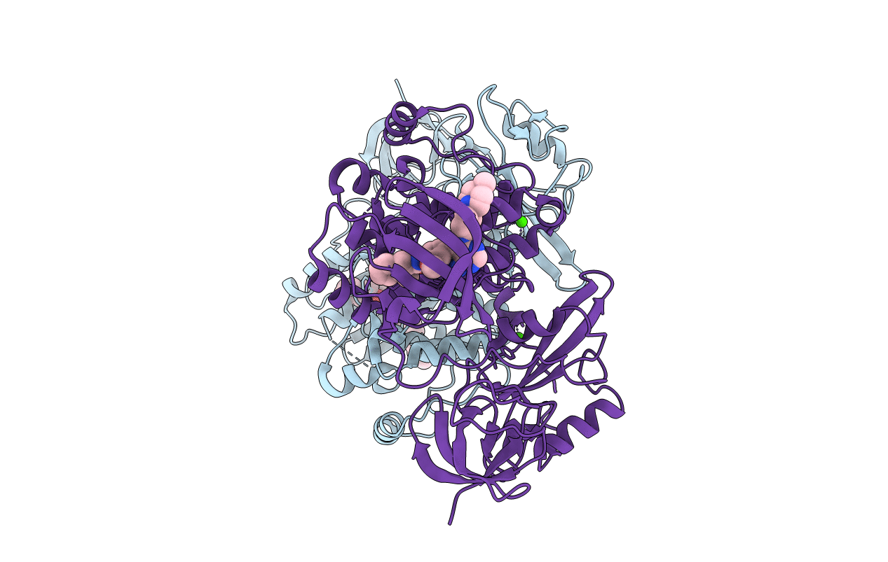 2C0I image