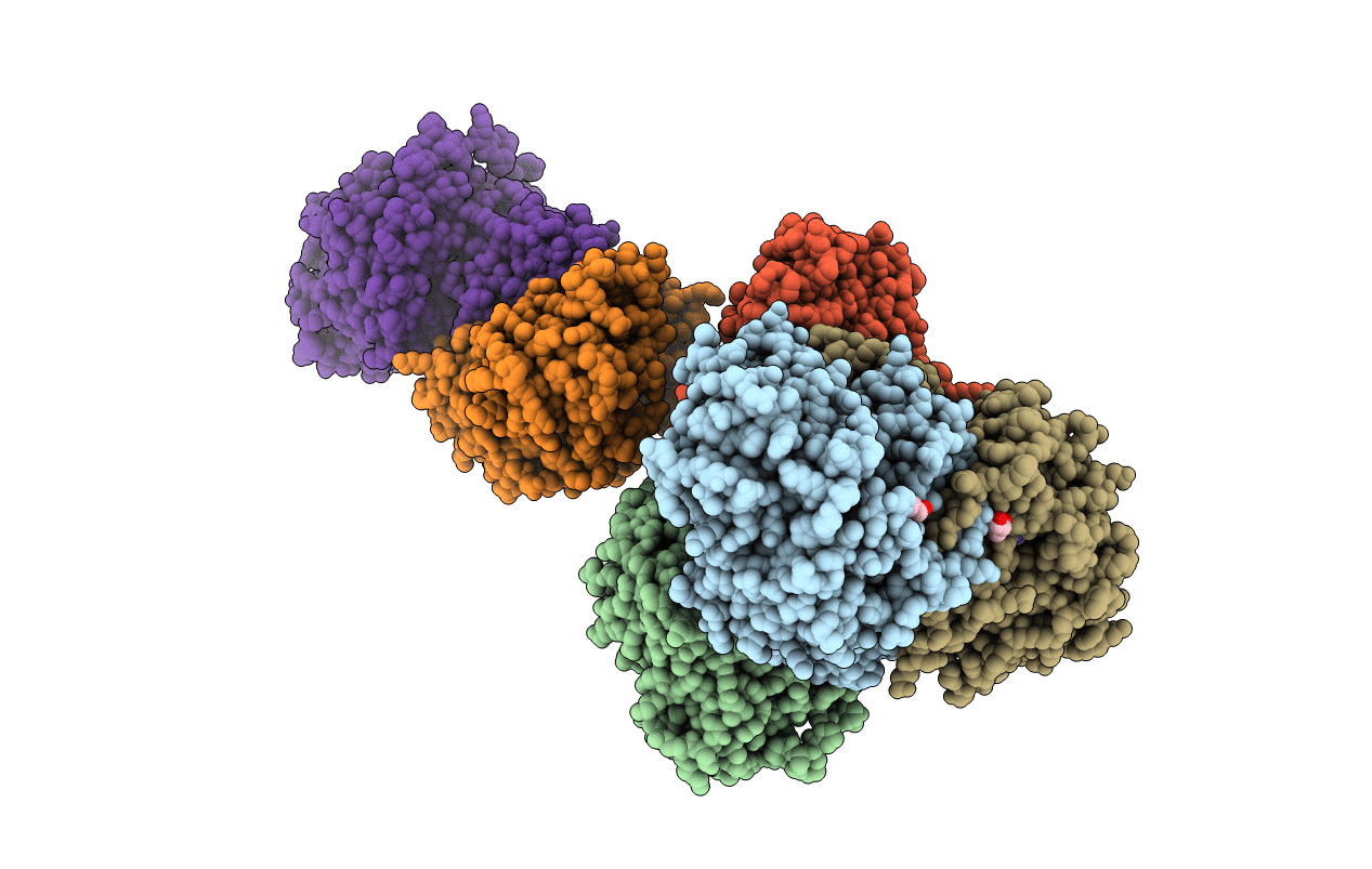 2c12 image