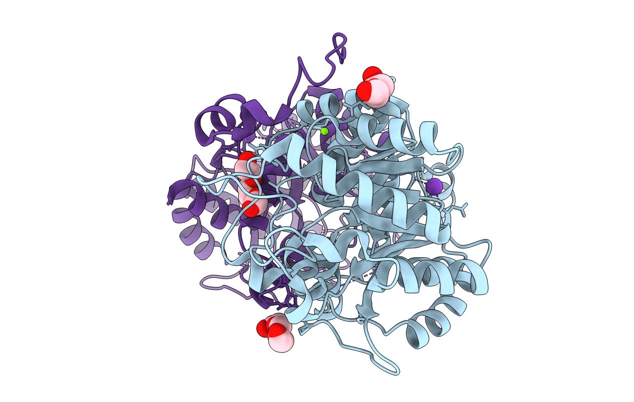 2C13 image