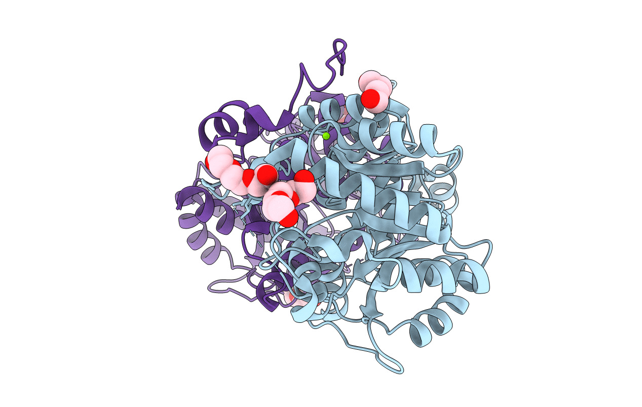 2C16 image