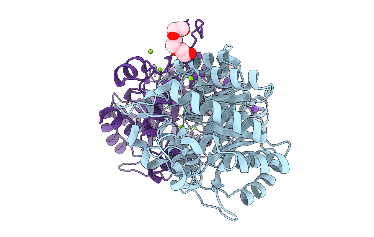 2C18 image