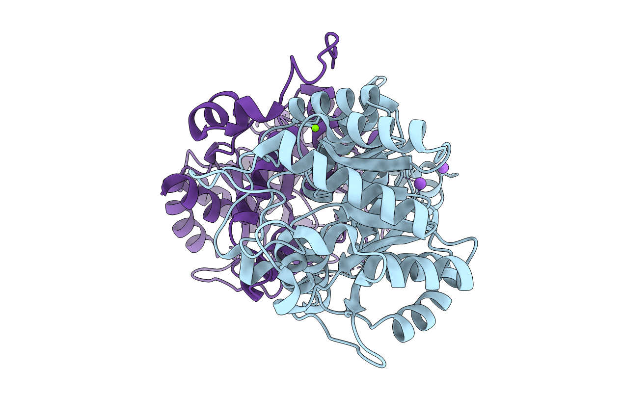2C19 image
