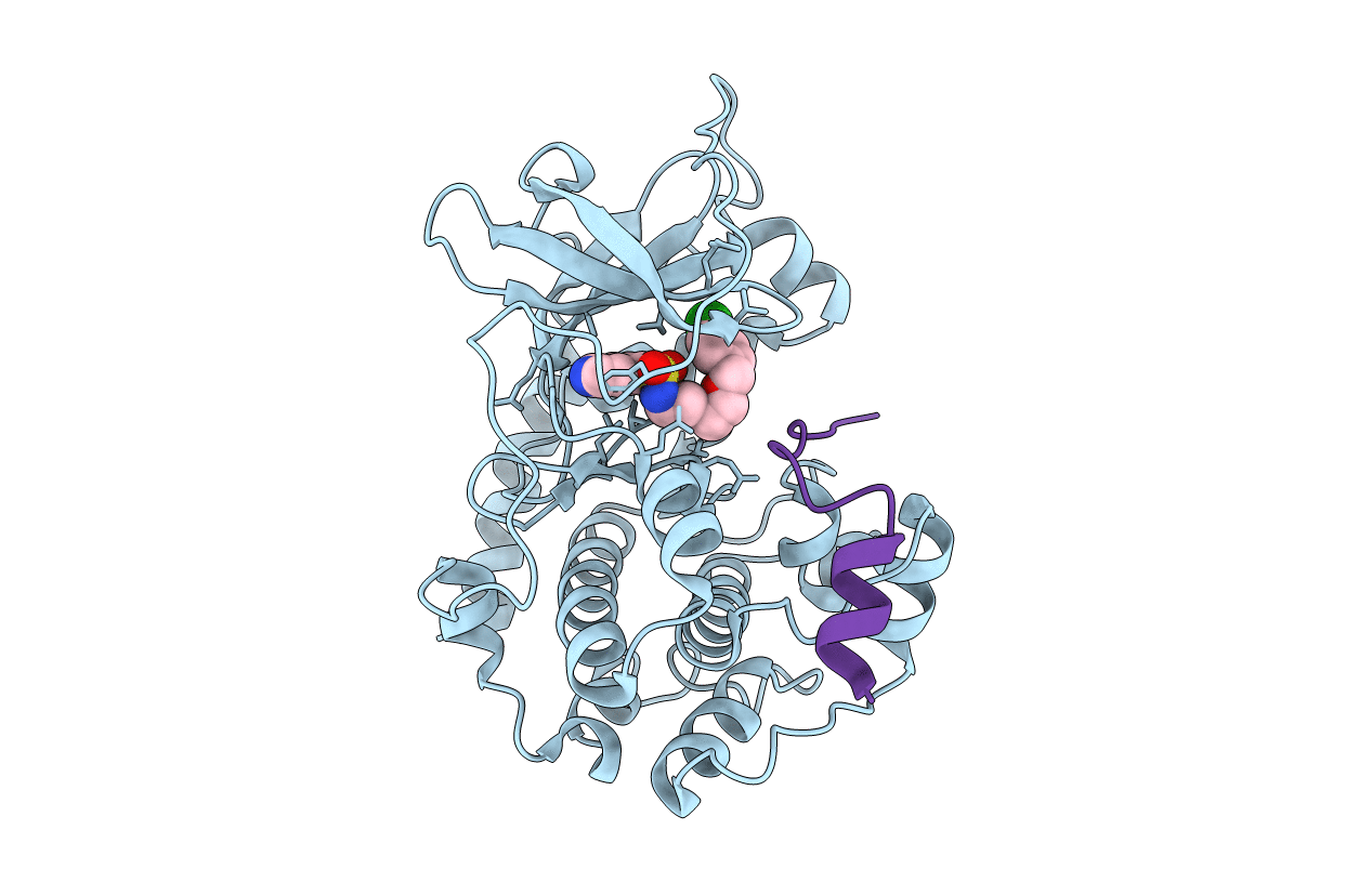 2C1A image