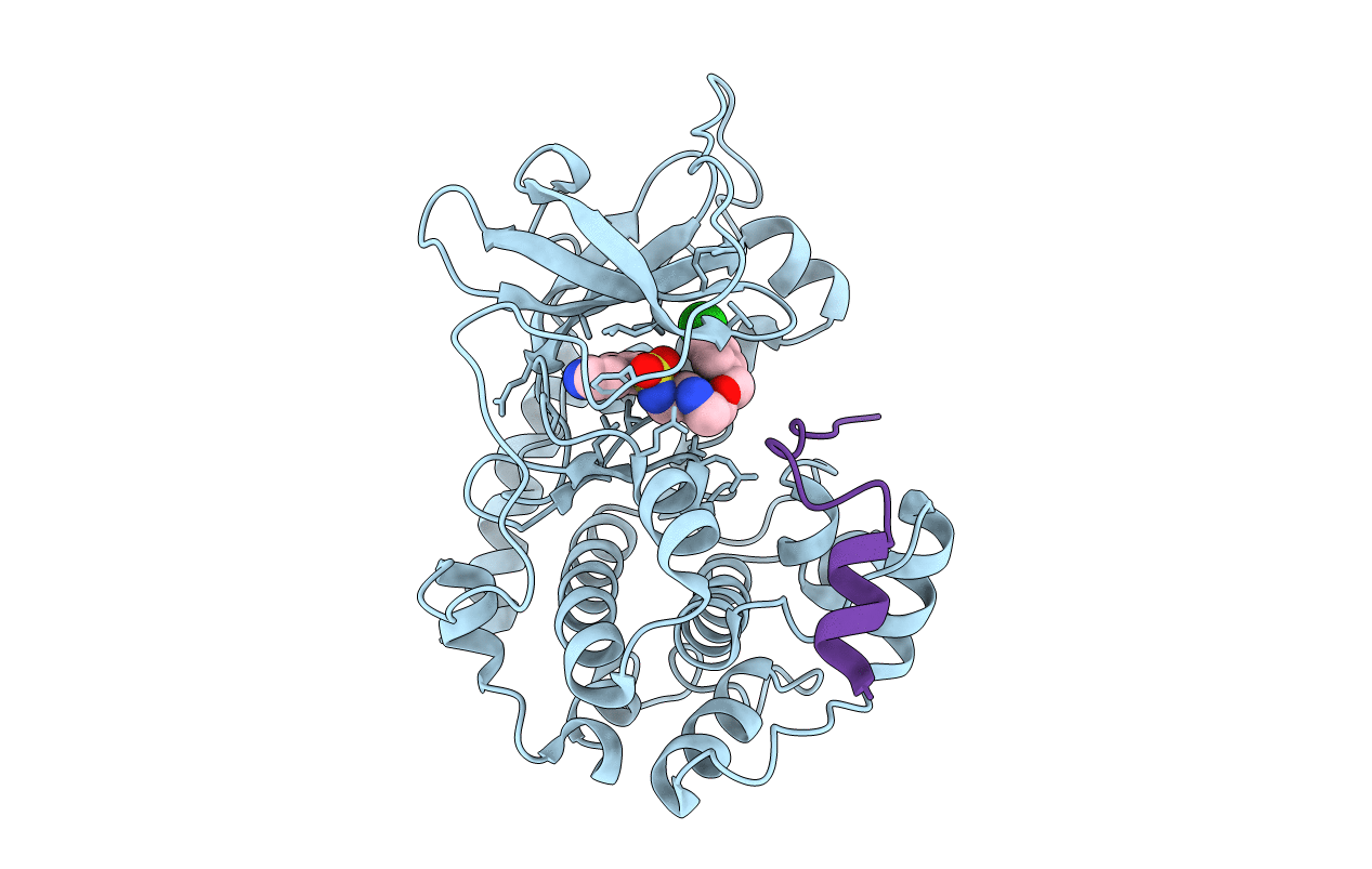 2C1B image