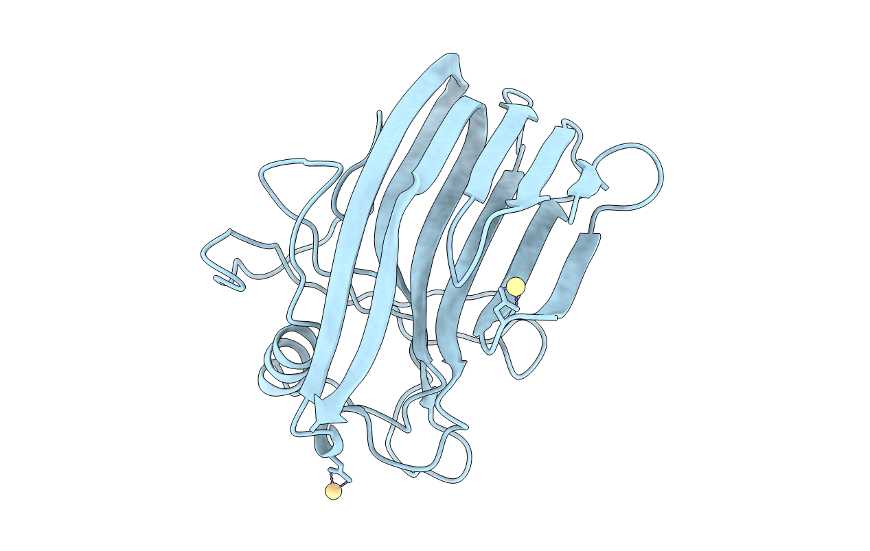 2C1F image