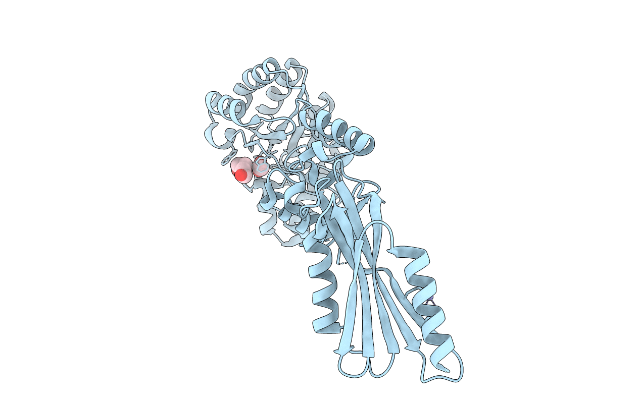 2c1g image