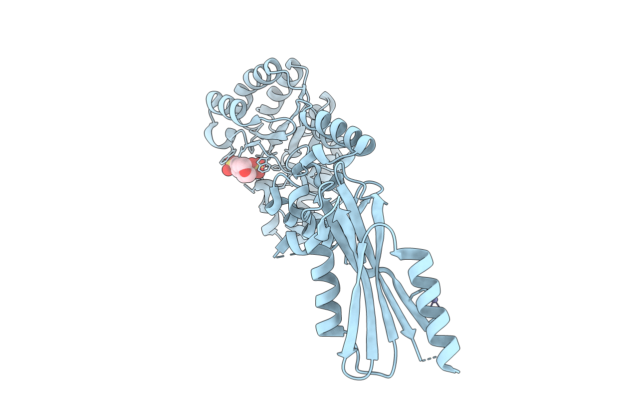 2C1I image