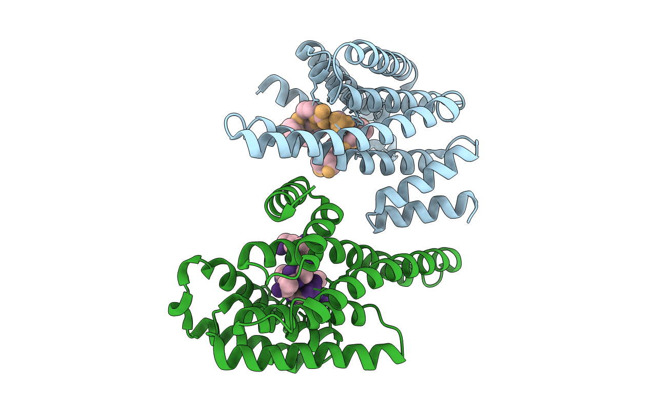 2C1J image