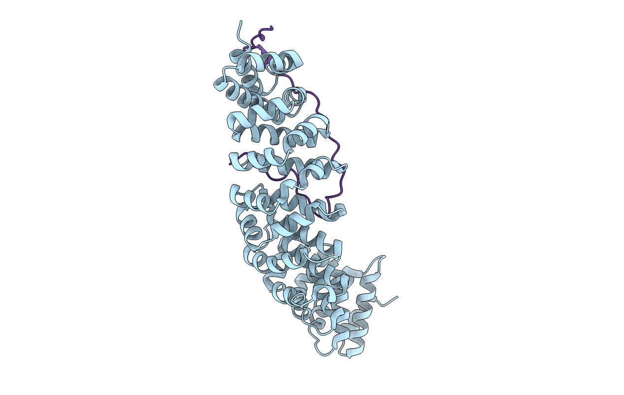 2C1M image