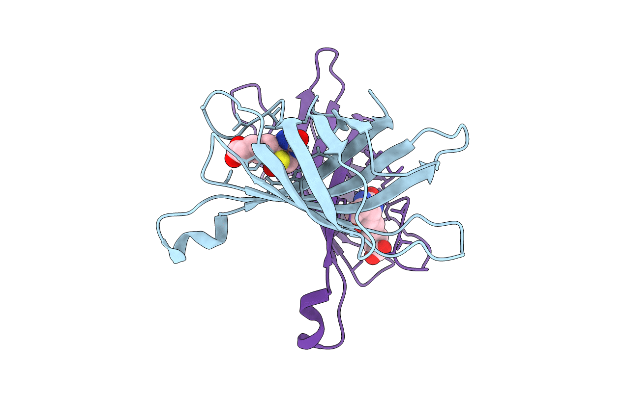 2C1S image