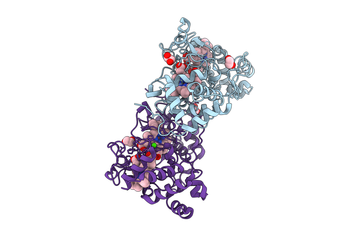 2C1V image